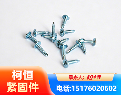 揭阳华司钻尾丝