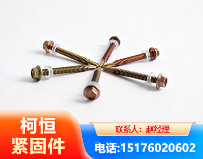 揭阳六角钻尾丝