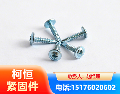 揭阳华司钻尾丝