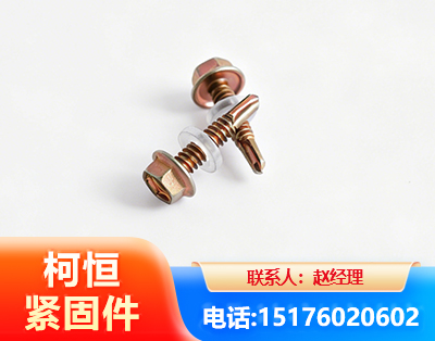 揭阳六角钻尾丝